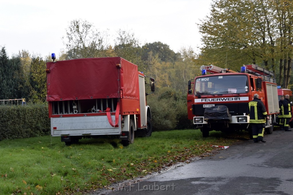 Feuer 1 brannten 3 Lauben Koeln Fuehlingen Kriegerhofstr P005.JPG - Miklos Laubert